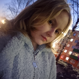 Статистика Дзен 🕸️