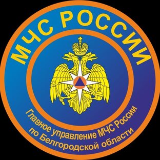 Статистика Дзен МЧС Белгородской области