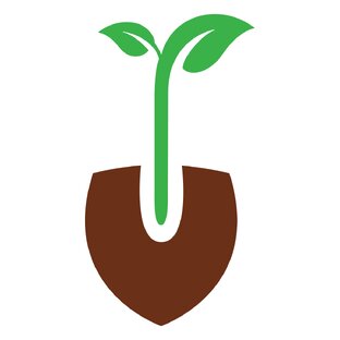 Статистика Дзен greenfeya.ru