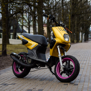 Статистика Дзен QVAZAR Scooter Cult