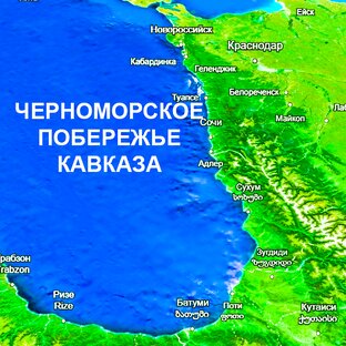 Статистика Дзен Черноморское побережье Кавказа. Путевой журнал местного гида 