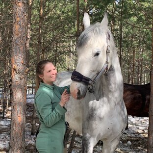 Статистика Дзен Будущий фермер 🐎 Путь к мечте 💕