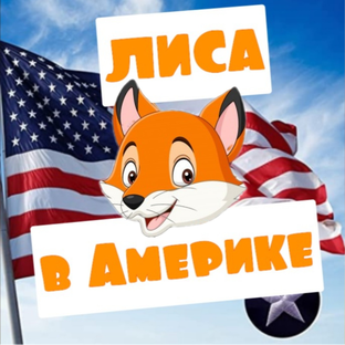 Лиса в америке дзен последнее. Лиса США. Лиса в Америке ютуб