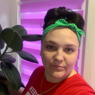 Статистика Дзен Алла Никитина