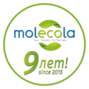 Статистика Дзен Molecola® Экотовары