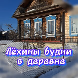Статистика Дзен Лёхины будни в деревне