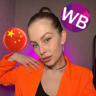 Статистика Дзен Евгения Ларионова| WB инсайдер | Китай