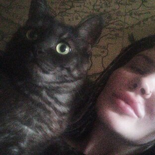 Дзен Veter_v_ivah статистика