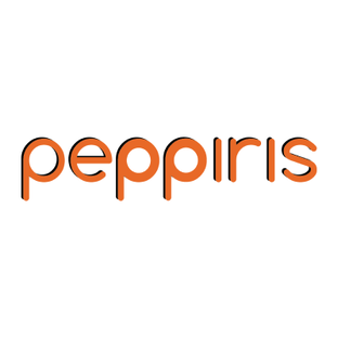 Статистика Дзен PEPPIRIS одевает