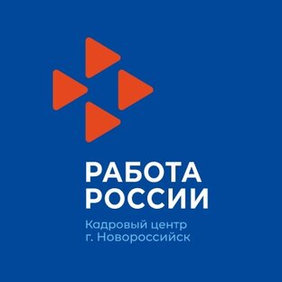 Статистика Дзен Центр анятости в городе Новороссийске