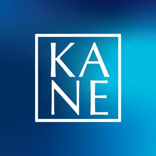 Статистика Дзен KANE: профессиональная косметика для педикюра и маникюра