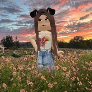 Статистика Дзен TIKIX