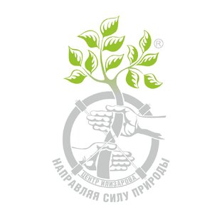 Статистика Дзен Центр Илизарова | Курган