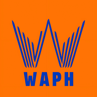Статистика Дзен Обзоры китайских авто 2026 | WAPH
