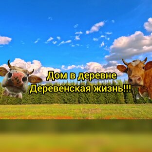 Дом в деревне Деревенская жизнь!!!