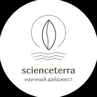 Статистика Дзен scienceterra