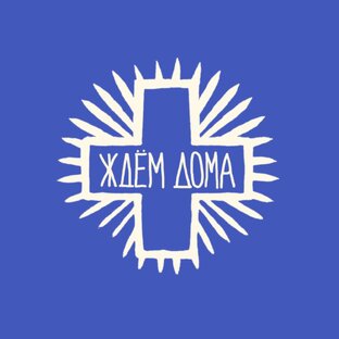 Статистика Дзен Ждем дома