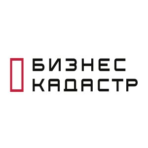 Статистика Дзен Бизнес-Кадастр