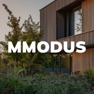Статистика Дзен MODUL MODUS-МодульДома