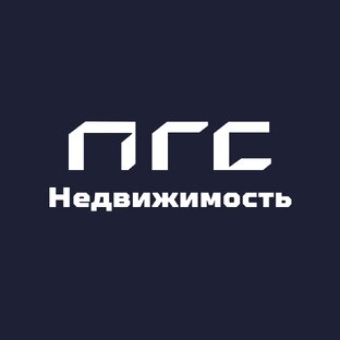 Статистика Дзен ПГС Недвижимость