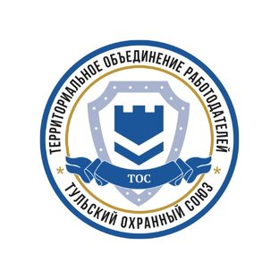 Статистика Дзен Тульский охранный союз