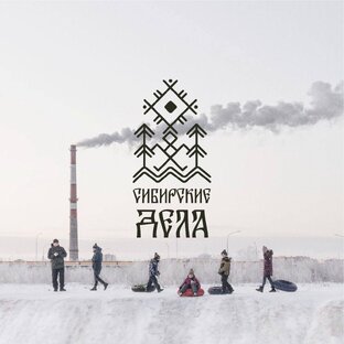 Статистика Дзен «сибирские дела»