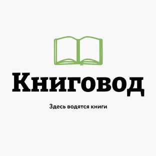 Статистика Дзен Книговод | Все о книгах