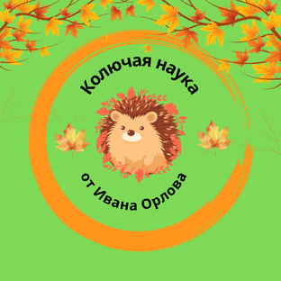 Статистика Дзен Колючая наука