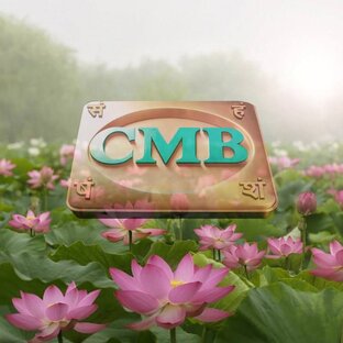 Статистика Дзен Академия Сахасра Маха Васту