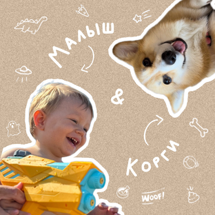 Статистика Дзен Малыш & корги