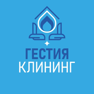 Статистика Дзен Гестия Клининг 