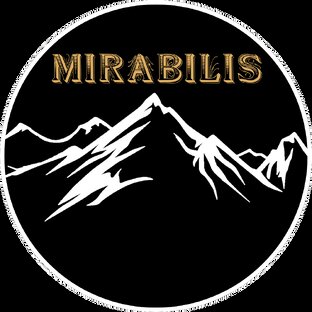 Дзен MIRABILIS клуб активного отдыха и пешего туризма | Таганрог статистика
