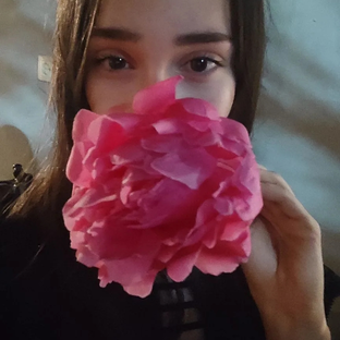 Статистика Дзен ☆Liliz☆