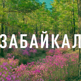 Статистика Дзен Царьград. Забайкалье