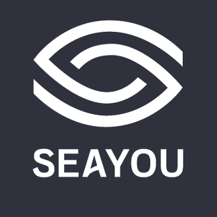 Статистика Дзен SEAYOU — ТВОЯ СТИХИЯ.