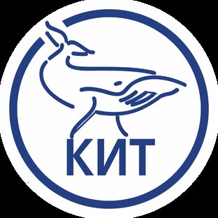 Статистика Дзен КИТ натяжные потолки и сантехника Томск