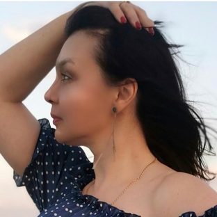 Статистика Дзен Путешествия с Норкой.