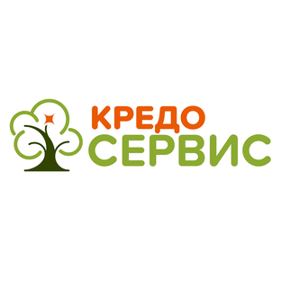Статистика Дзен Кредо-Сервис : кредитование легко