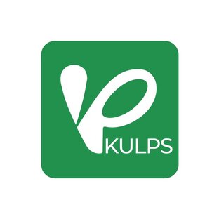 Статистика Дзен KULPS