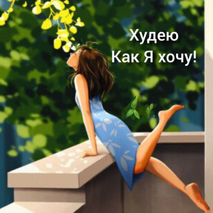 Статистика Дзен Жить здОрово - здорОвой!