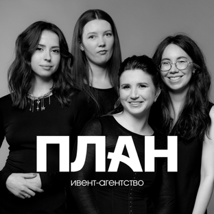 Статистика Дзен ПЛАН ивент-агентство