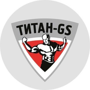 Статистика Дзен Гардеробные системы ТИТАН GS