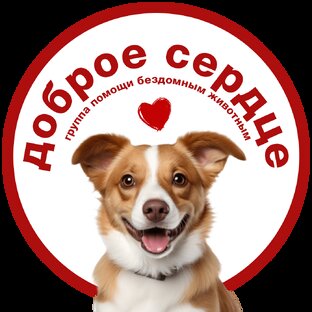 Статистика Дзен Помощь бездомным животным ДОБРОЕ СЕРДЦЕ
