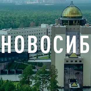 Статистика Дзен Царьград. Новосибирск