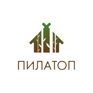 Статистика Дзен ПИЛАТОП
