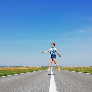Статистика Дзен Птица сильная, птица гордая