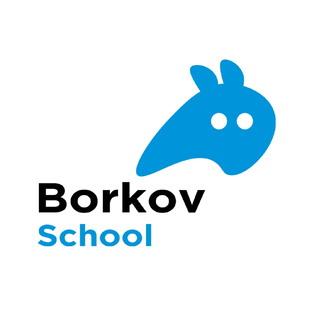 Дзен Borkov School 44 статистика