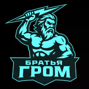 Статистика Дзен Братья Гром 