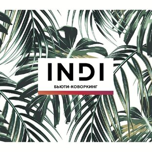 Статистика Дзен INDI Бьюти-коворкинг Мытищи