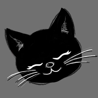 Статистика Дзен Сеульская кошка